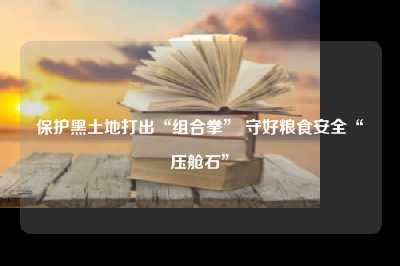 保护黑土地打出“组合拳” 守好粮食安全“压舱石”