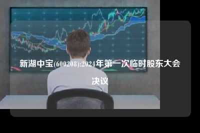 新湖中宝(600208):2024年第一次临时股东大会决议