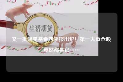 又一批明星基金四季报出炉！第一大重仓股竟然都是它……